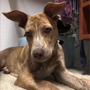 Meet your Posher, Ely